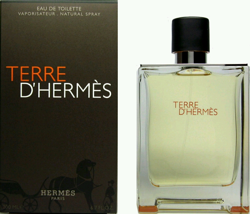 Nước hoa Nam Terre D Hermes 100ml EDT