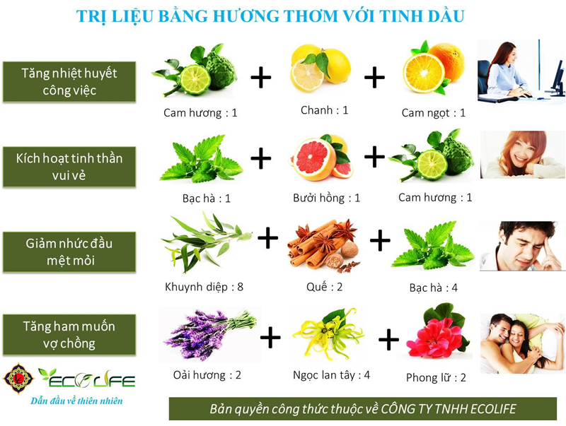 Quà 20-11- Bộ Quà Tinh Dầu : Hoa Hồng Và Vỏ Bưởi 3