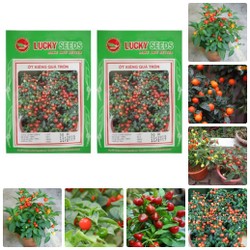 Bộ gói hạt giống Ớt kiểng tròn