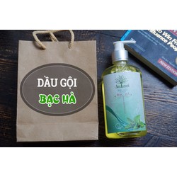 Dầu gội tinh dầu bạc hà Ame Green 250ml