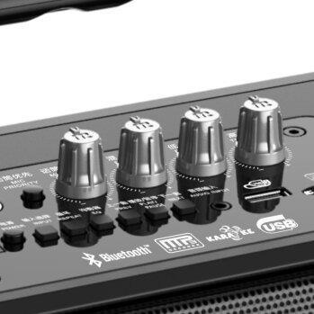 Loa kéo di động Malata 9001S