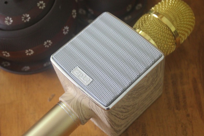 MIC KARAOKE ZP-12 3