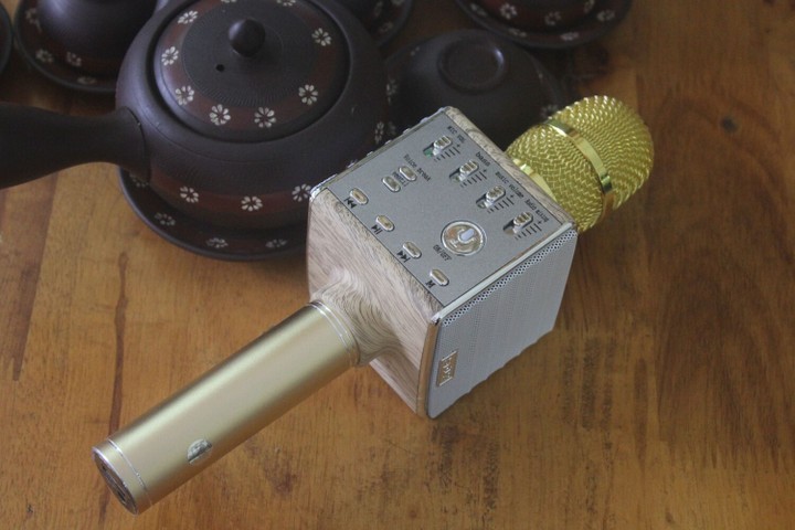 MIC KARAOKE ZP-12 1