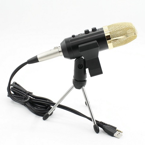 Micro thu âm MK-F400TL 2