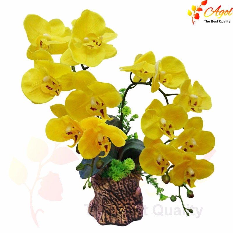 chậu Lan giả cao cấp tím 7