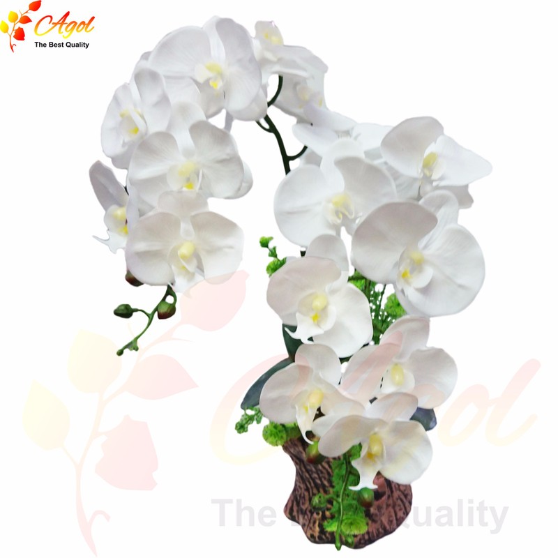 chậu lan giả cao cấp trắng 1