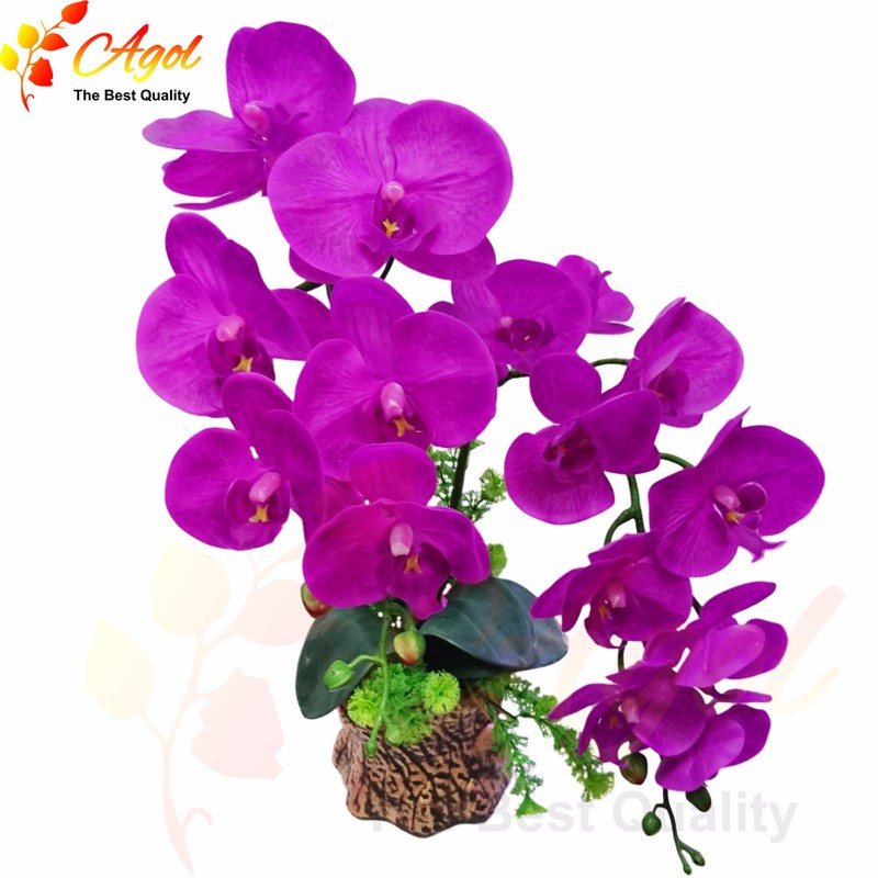 chậu lan giả cao cấp trắng 5
