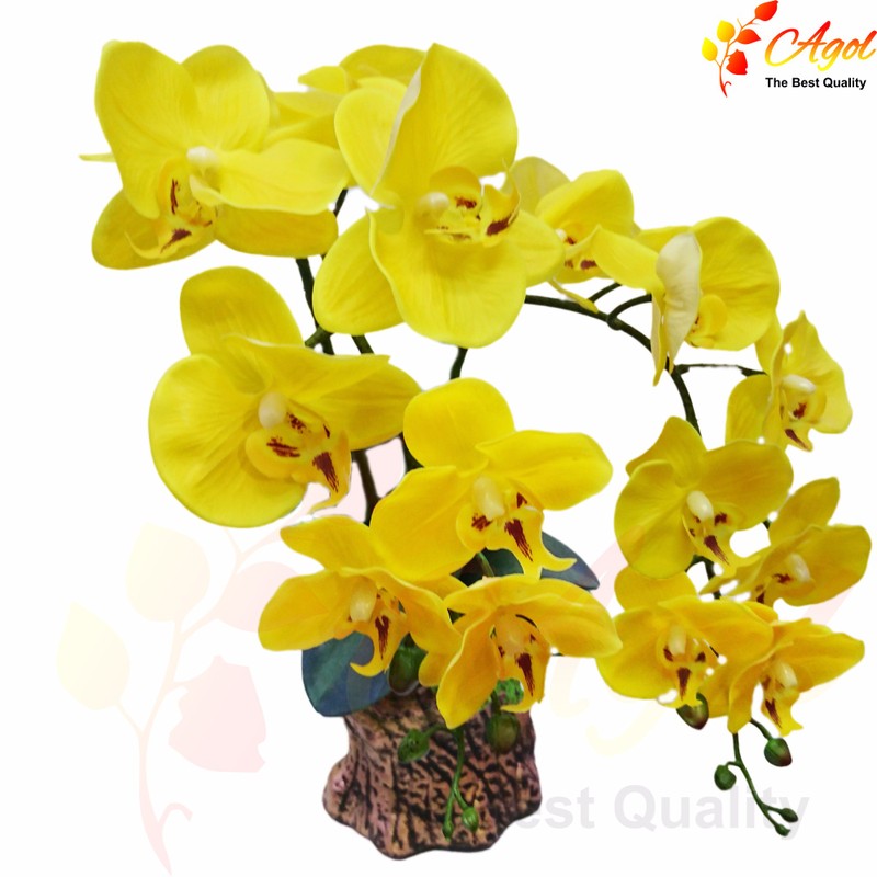 chậu lan giả cao cấp vàng 3