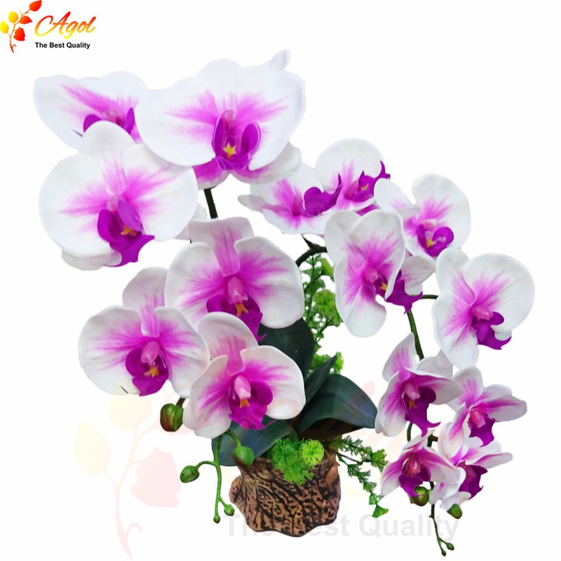chậu lan giả cao cấp vàng 6