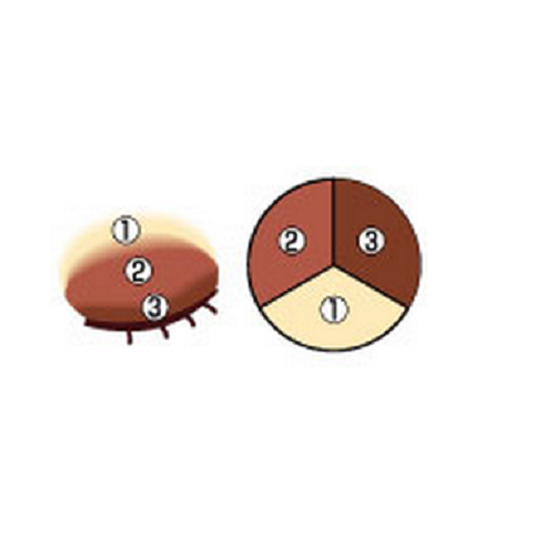 Phấn mắt 3 màu Eye Nuance