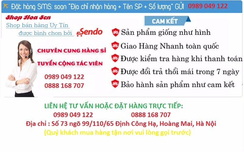 Bếp điện từ cao cấp 22a58 1