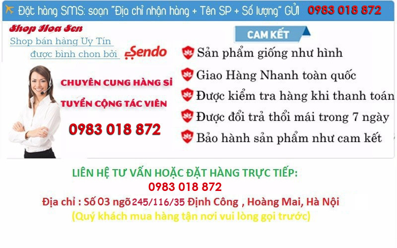 Bếp hồng ngoại mặt kính chịu nhiệt nhật bản 1