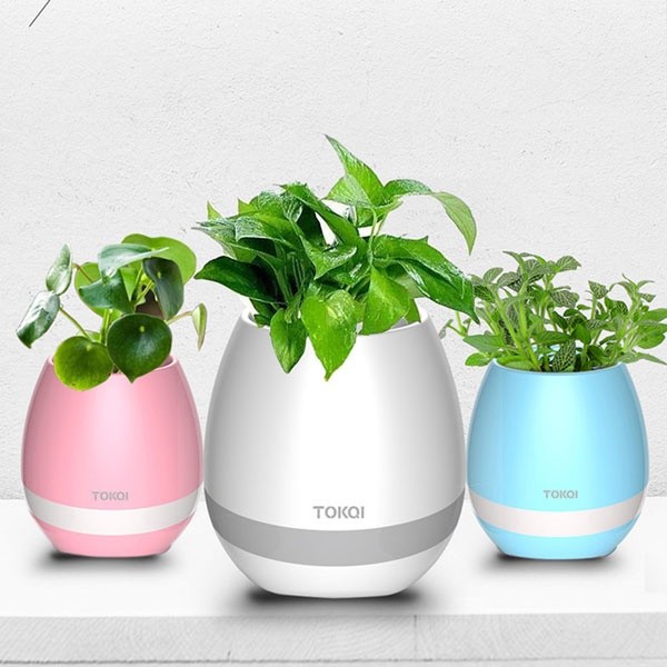 Loa bluetooth kiêm chậu trồng cây 1
