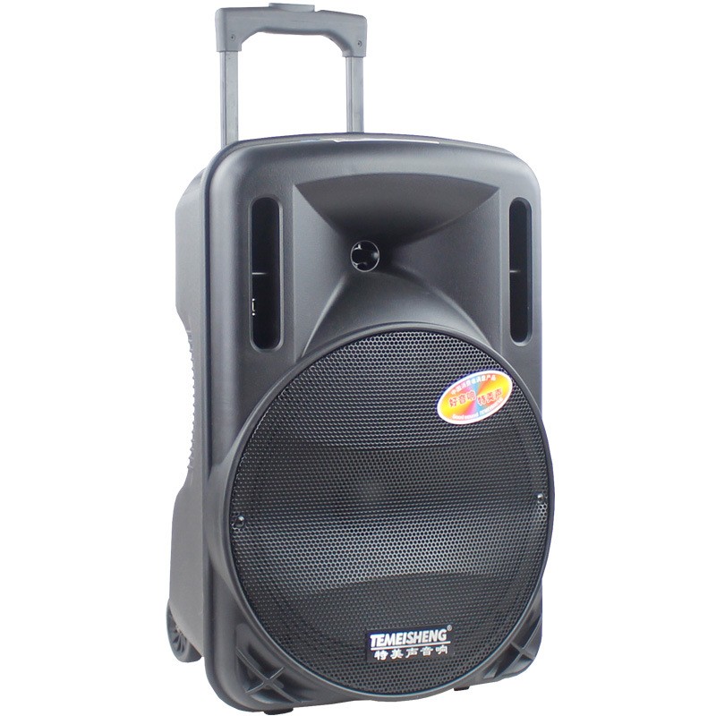 Loa kéo di động Temeisheng A12-1 - 3 tấc