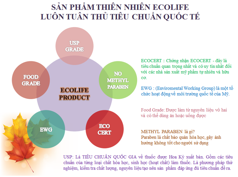 Mẹ và bé: tinh dầu thảo dược chống muỗi Ecolife Thuoc-xit-muoi-thao-duoc-ecolife-50-ml-1m4G3-T6Nunq_simg_d0daf0_800x1200_max