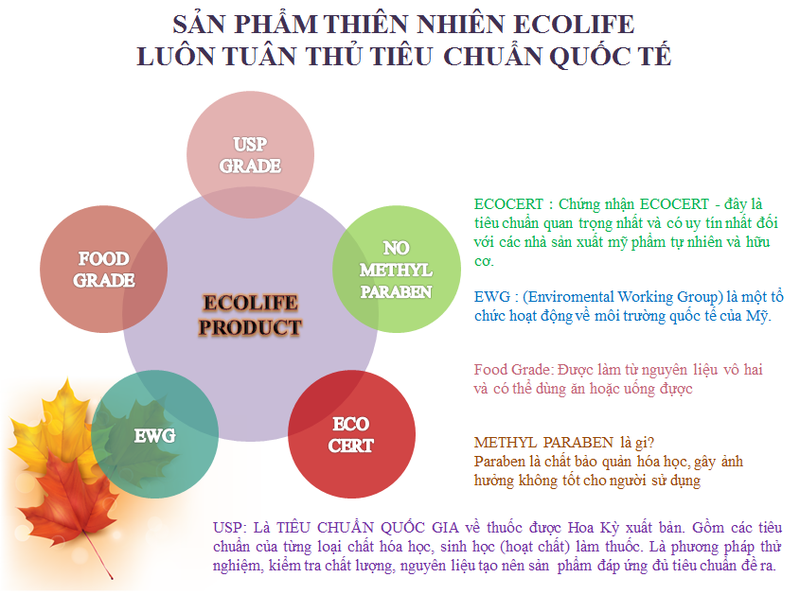 Mẹ và bé:  tinh dầu thảo dược chống muỗi Ecolife Thuoc-xit-muoi-thao-duoc-ecolife-50-ml-1m4G3-T6Nunq_simg_d0daf0_800x1200_max