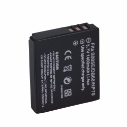 Pin Panasonic CGA-S005