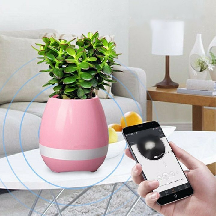 LOA BLUETOOTH - LOA BLUETOOTH