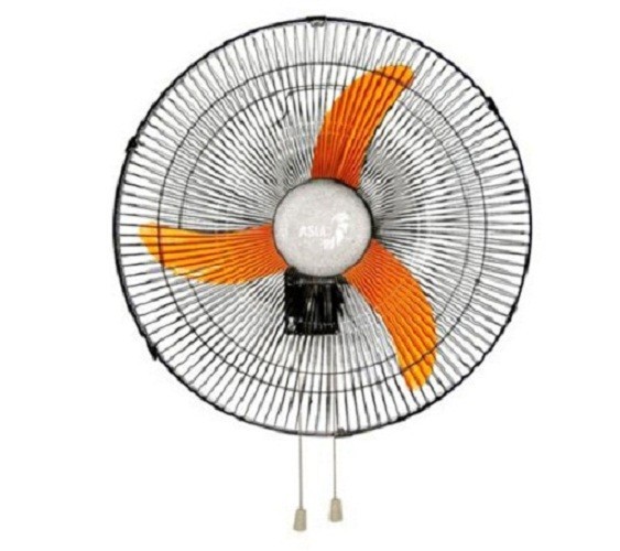 TkuimC_simg_d0daf0_800x1200_max.jpg