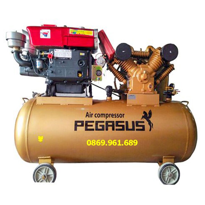 Máy nén khí Pegasus TM-V-0.25/8 - 100L