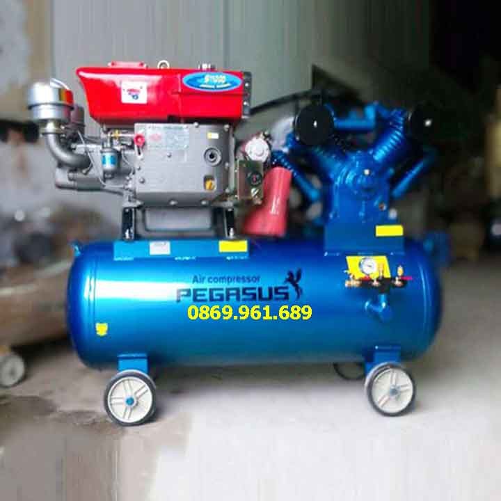 Máy nén khí Pegasus TM-V-0.25/8 - 100L