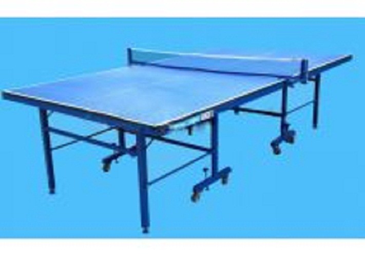 BÀN BÓNG BÀN ĐỨC LONG TL-05