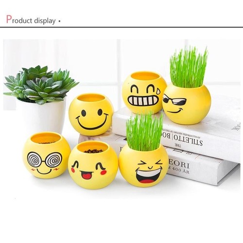 Combo 5 bộ chậu trồng cây mini - chậu trồng cây cảm xúc có hạt giống