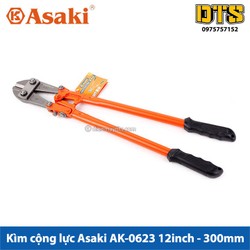 Kìm cộng lực asaki ak 0623 12inch 300mm