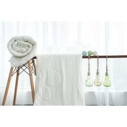 Ruột Mền Chần Gòn Soft Decor 200x220Cm (Trắng)