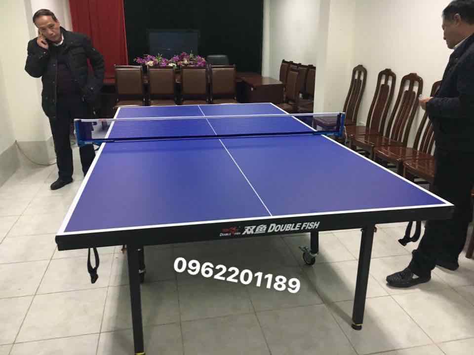 Bàn bóng bàn Double Fish DF-301
