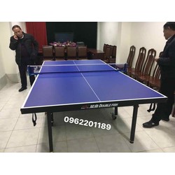 Bàn bóng bàn Double Fish DF-301
