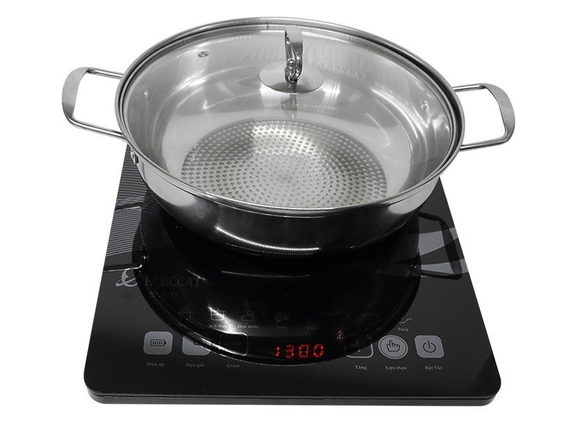 Bếp từ đơn Eleccat ECT 11 (ECT11)
