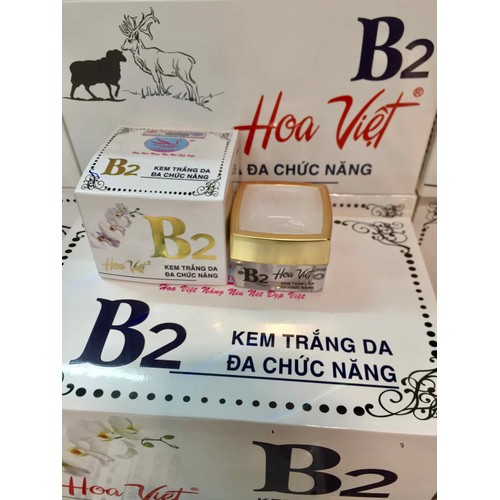 KEM HOA VIỆT B2 TRẮNG DA ĐA CHỨC NĂNG