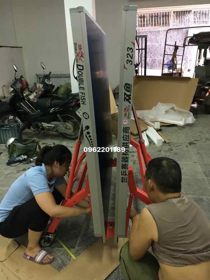 Bàn Bóng Bàn Double Fish DF-323
