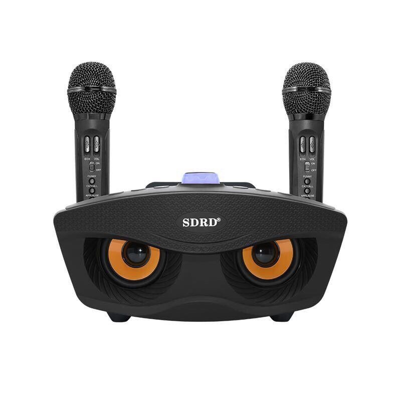 Loa Bluetooth karaoke kèm 2 míc SDRD-306/SDRD 306 Plus(model 2022) (Mã SP: SDRD-306)