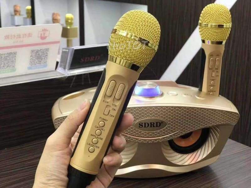 Loa Bluetooth karaoke kèm 2 míc SDRD-306/SDRD 306 Plus(model 2022) (Mã SP: SDRD-306)