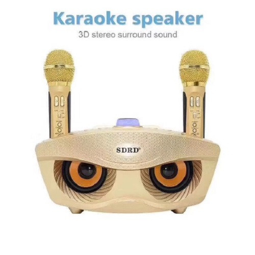Loa Bluetooth karaoke kèm 2 míc SDRD-306/SDRD 306 Plus(model 2022) (Mã SP: SDRD-306)