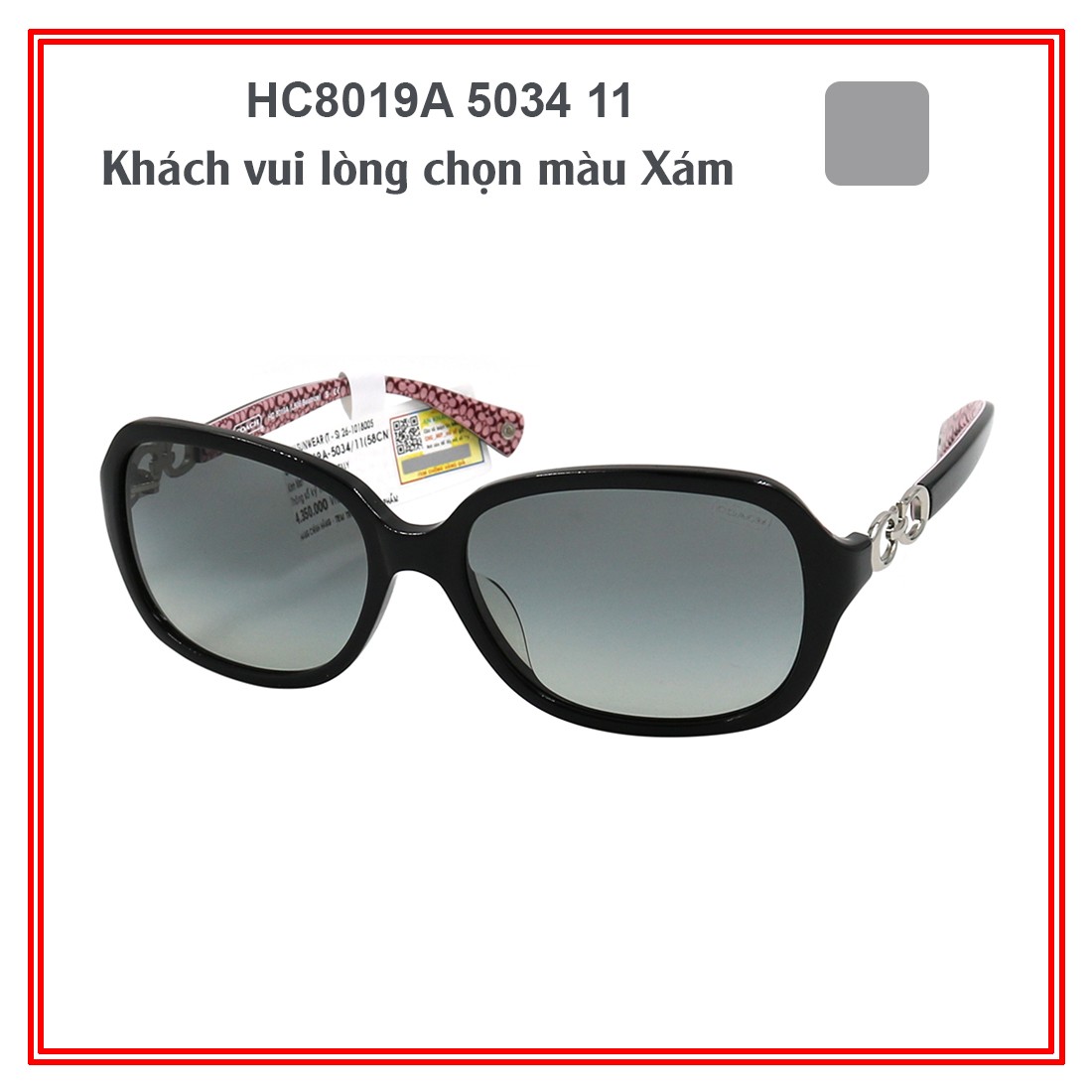 Kính mát COACH HC8019A-HC8104F-HC8189F