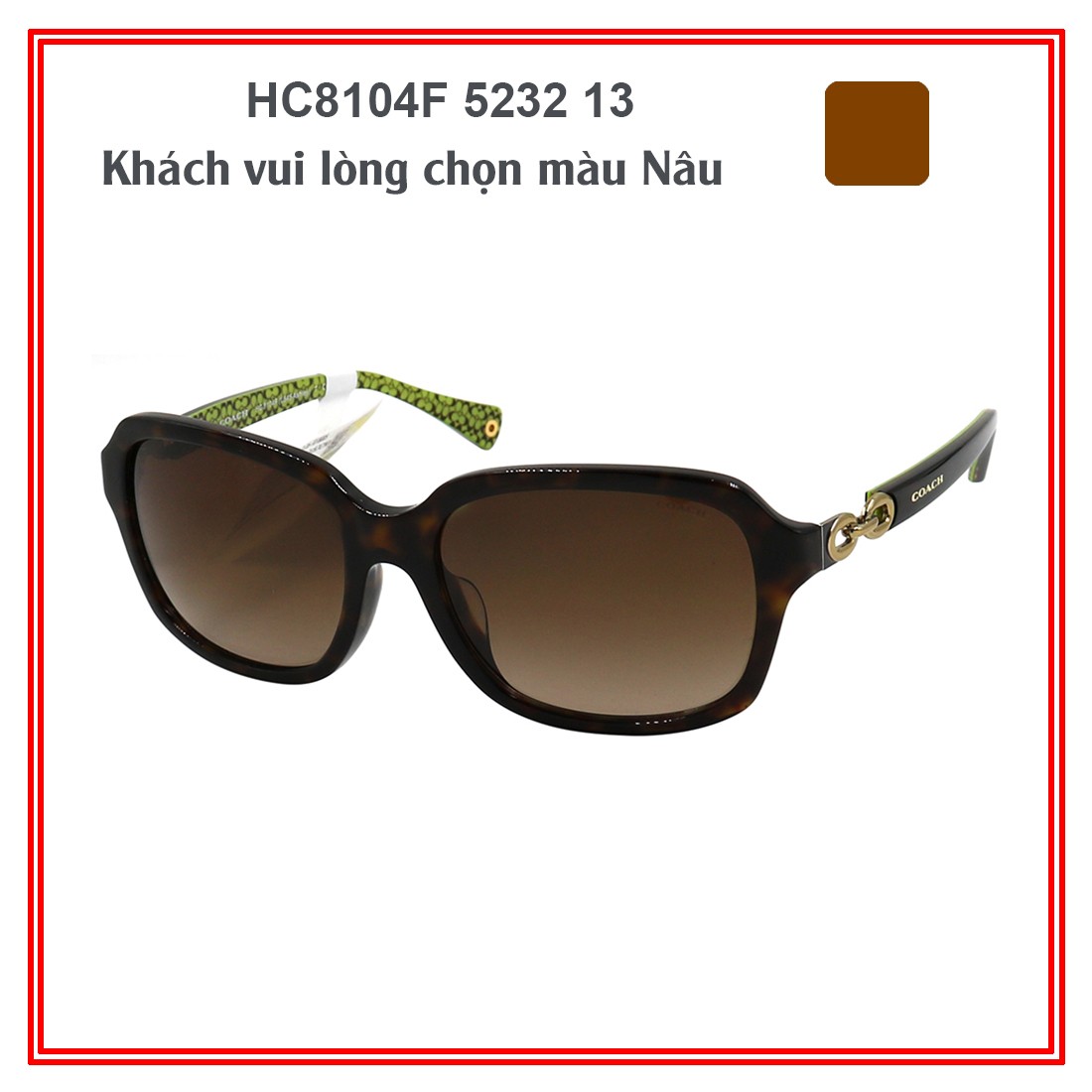 Kính mát COACH HC8019A-HC8104F-HC8189F