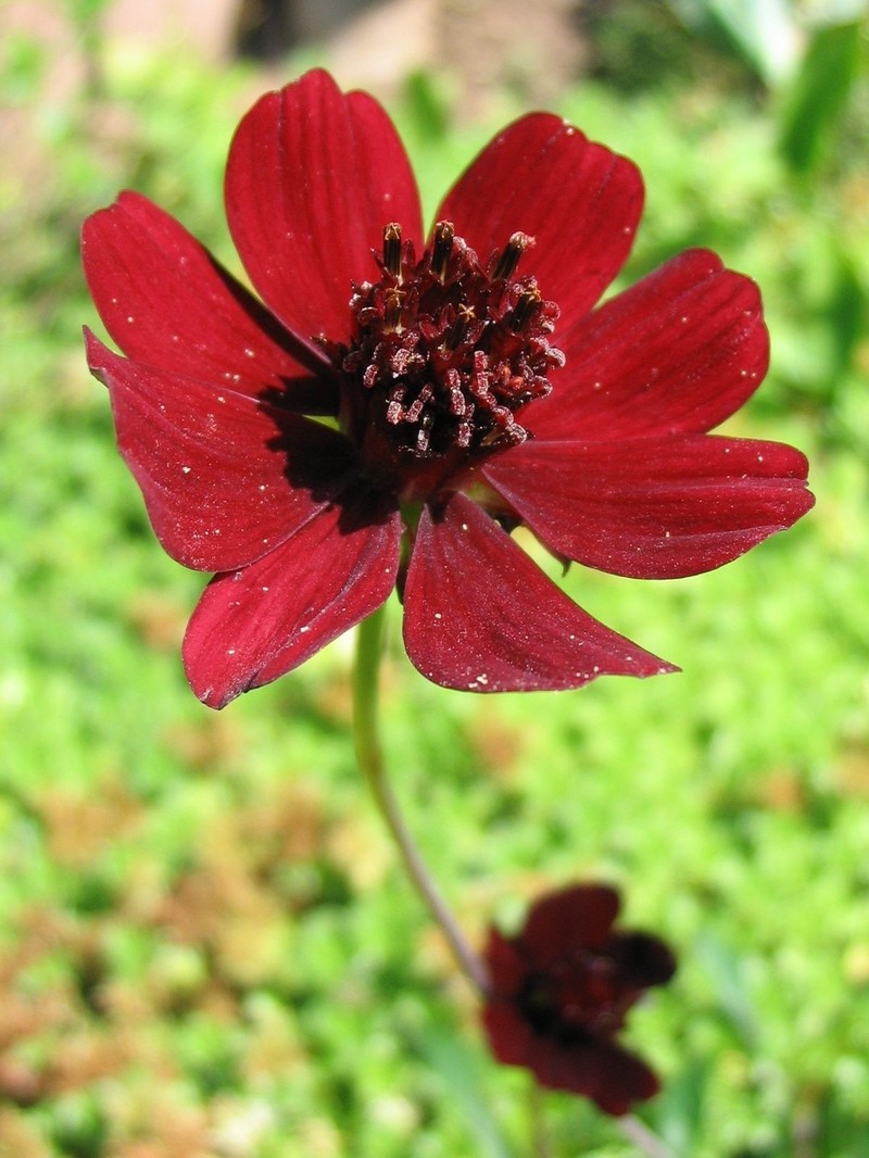 J9FtLJ_simg_d0daf0_800x1200_max.jpg