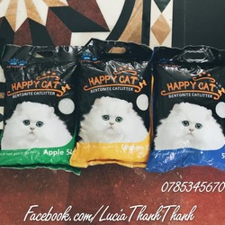 Cát Vệ Sinh Cho Mèo Happy Cat 5L