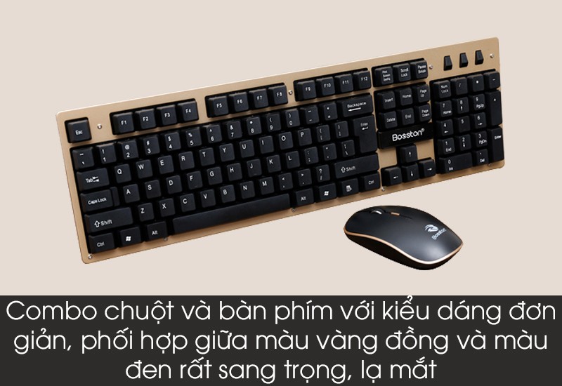 Combo phím chuột Bosston WS400