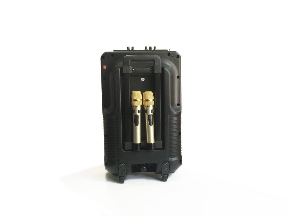 Loa kéo Bluetooth Billow T15