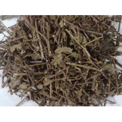 combo 3kg cà gai leo