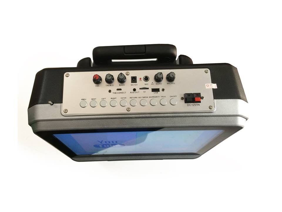 Loa kéo Bluetooth Billow T15