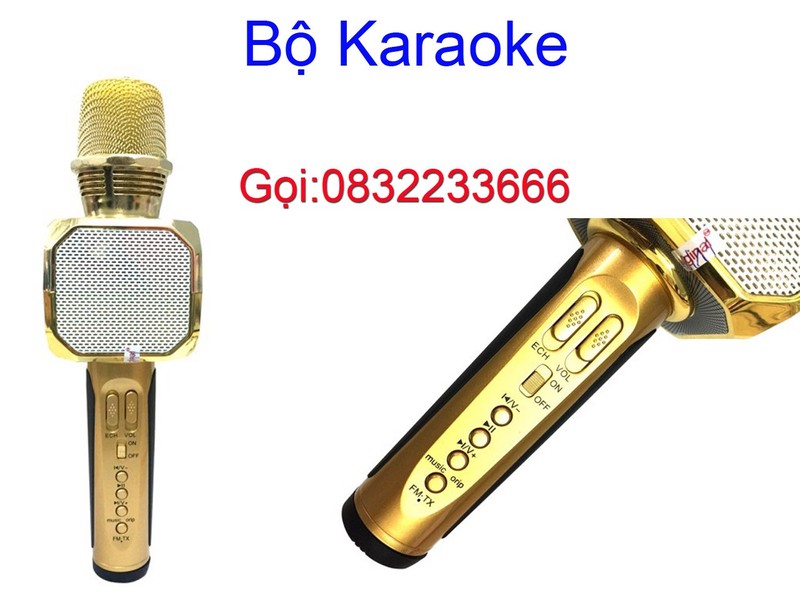 Micro Bluetooth Kèm Loa Hát Karaoke 1