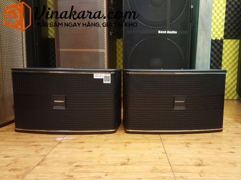 Loa di động dùng điện Temeisheng TK8-1