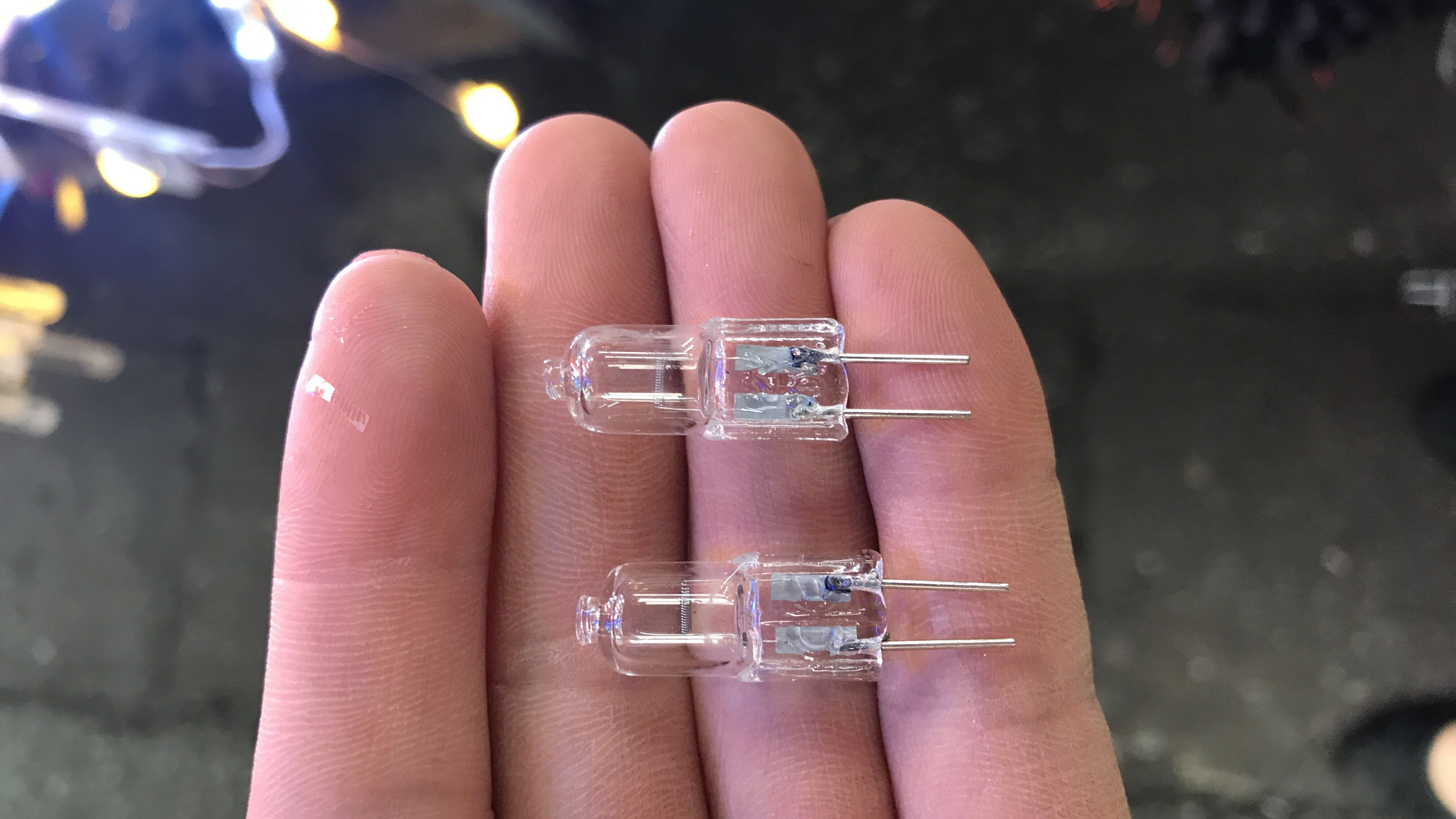 5 chiếc bóng 12v 50w halogen - bonghalogen12v50w