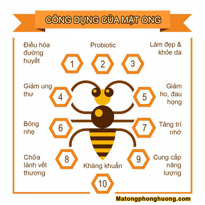 3 LÍT MẬT ONG NHÃN - TẶNG 350G PHẤN HOA 1