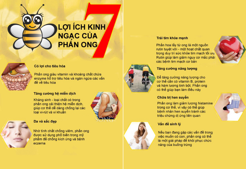PHẤN HOA XUYẾN CHI 1KG - NGỦ NGON, NÂNG CAO SỨC KHOẺ 3